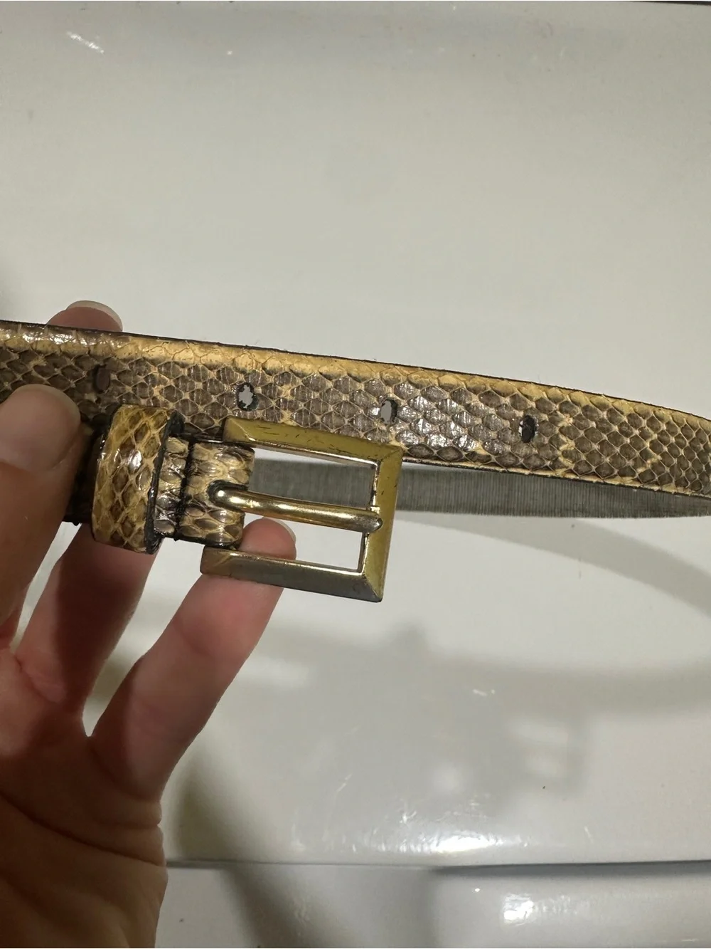 N/A stylish snake